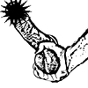 Игры с яичками: сжатия, щипки, щекотка (без боллбастинга)